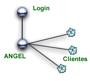Estructura de la red basica