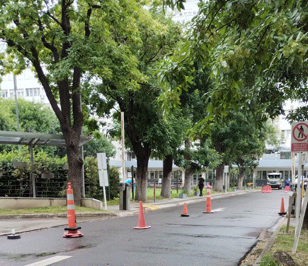 Seguridad física Barreras del estacionamiento