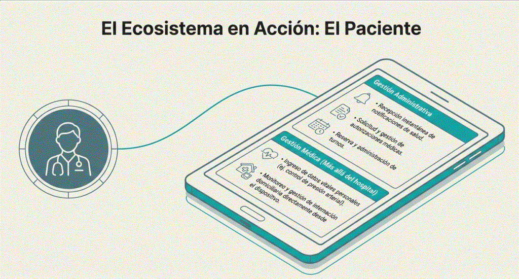 El paciente dentro del ecosistema.
