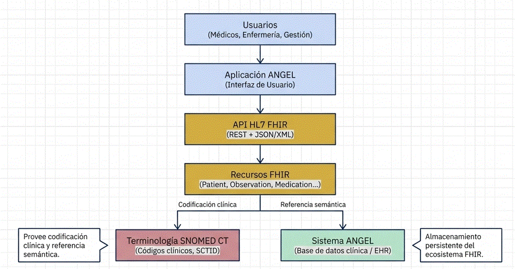 Relaciones de HL7 y SNOMED con el sistema