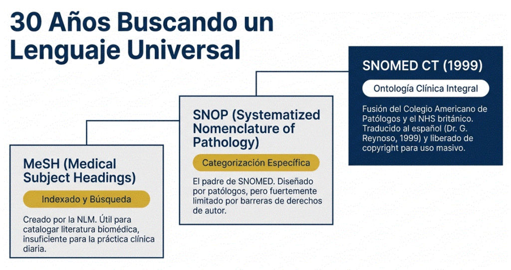 Evolución de la unificación de la terminología